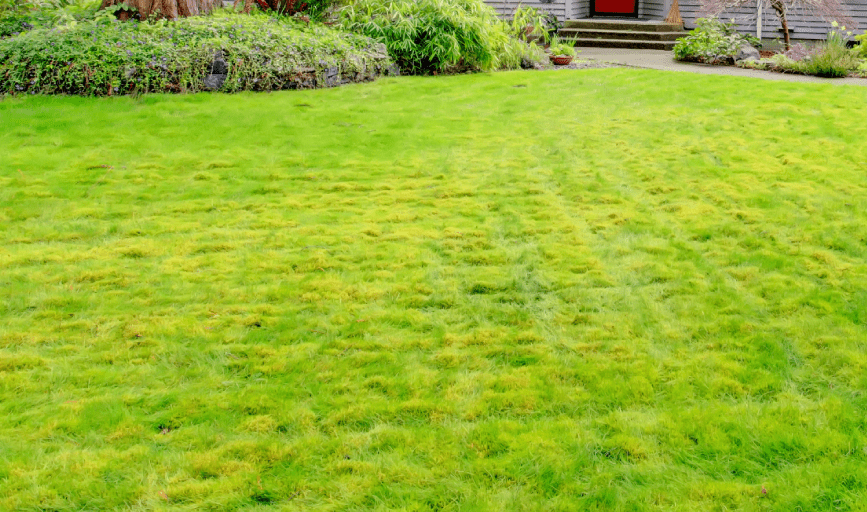 EFP Property Services